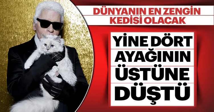 Yine dört ayağının üstüne düştü