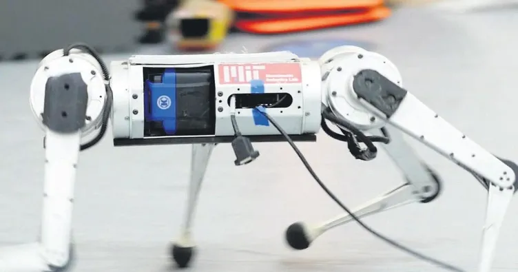 Robot çıta hız rekoru kırdı