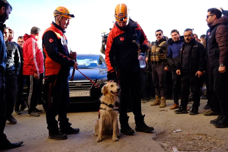 AFAD, Sednaya Hapishanesi’nde arama çalışmalarına başladı