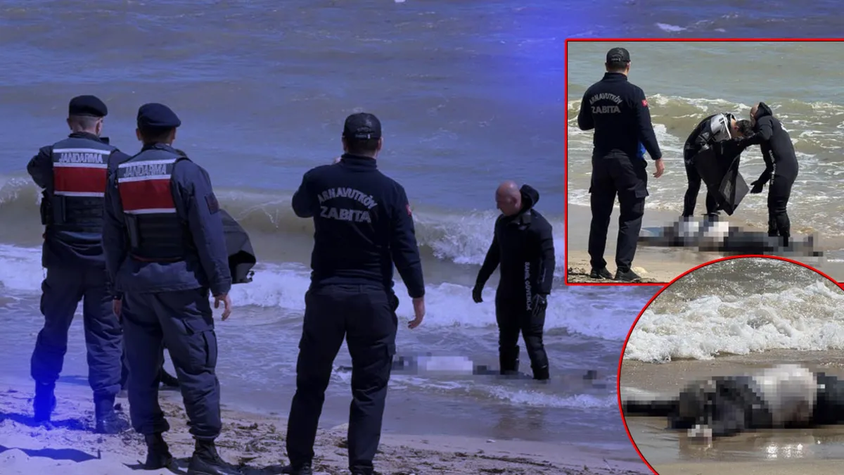 Arnavutköy sahilinde erkek cesedi bulundu! Arnavutköy sahilinde erkek cesedi bulundu!