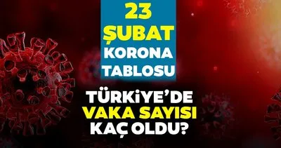 Bakan Fahrettin Koca AÇIKLADI! 23 Şubat koronavirüs tablosu nasıl? 23 Şubat korona tablosu ile bugünkü Türkiye vaka ve vefat sayıları