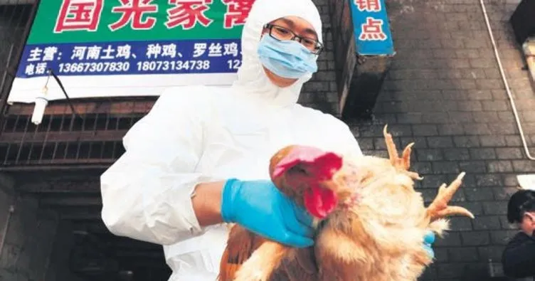 Yeni ölümcül tehlike: H5N6