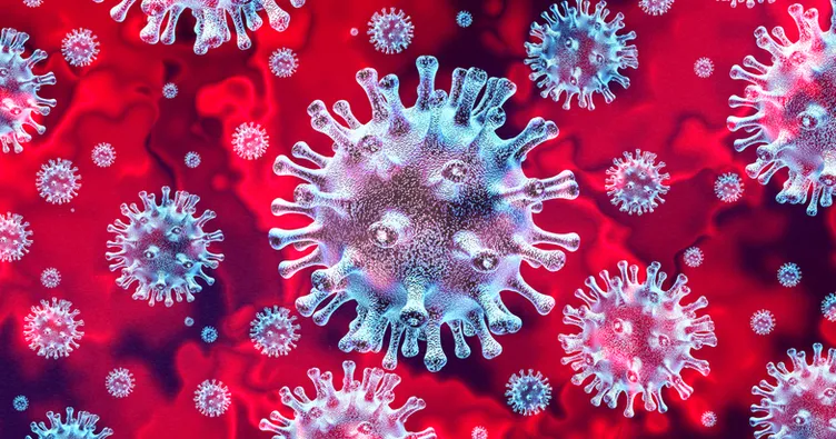 Sinovac ve Biontech Aşı randevusu nasıl alınır? 1,2 ve 3.doz ALO 182, E nabız ve MHRS Kovid-19 aşı randevusu nasıl alınıyor?