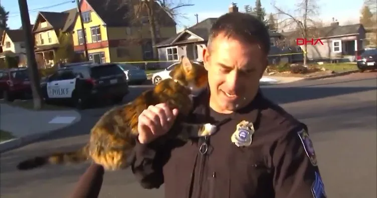 Röportaj sırasında polisin üzerine sokak kedisi atladı