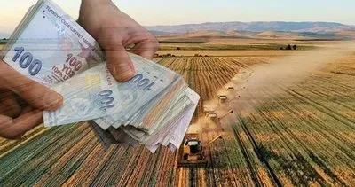 SON DAKİKA: Çiftçilere 9 milyar 374 milyon 88 bin liralık destek ödemesi! Hesaplara yattı...