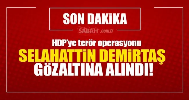 Selahattin Demirtaş gözaltına alındı!