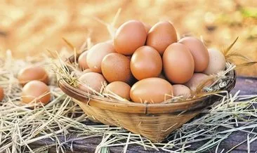Haşlanmış Yumurtanın Faydaları Ve Zararları Nelerdir? Yumurta Neye İyi Gelir, Nasıl Tüketilir?