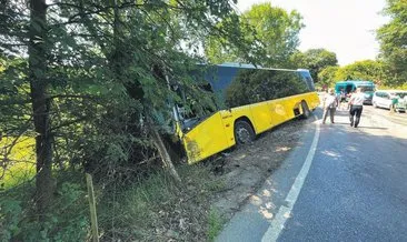 İETT otobüsü ağaca çarparak durabildi