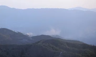 Esad rejimi Lazkiye kırsalını vurdu!