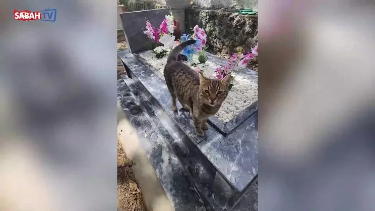 Evlat acısıyla sarsılmıştı! Safiye Soyman'dan yürek dağlayan paylaşım: 