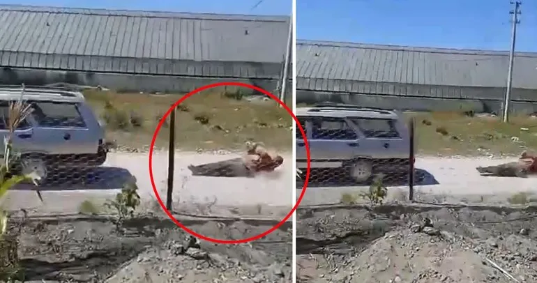 Böyle dehşet görülmedi! Antalya'da insanlık dışı görüntü: Komşusunu bağladı aracıyla metrelerce sürükledi!