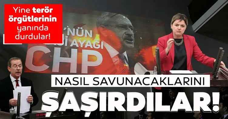 CHP yine terör örgütlerinin yanında