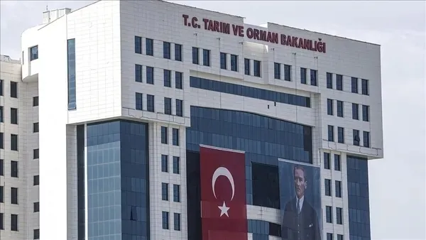 Türkiye düğmeye bastı, sınır kapandı: Turunçgili tehdit eden bitki yasaklandı Türkiye düğmeye bastı, sınır kapandı: Turunçgili tehdit eden bitki yasaklandı