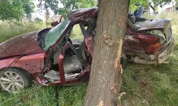 Adıyaman’da otomobil ağaca çarptı: 1 ölü