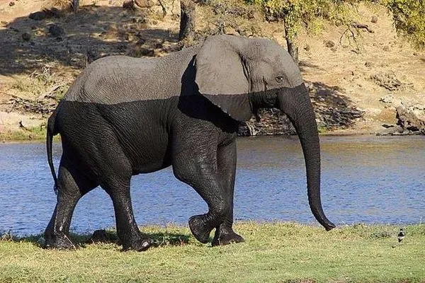 Fotoğraflardaki enteresan yanılsamalar!