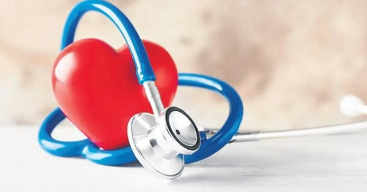 is dunyasiyla tamamlayici saglik