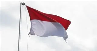 Endonezya nikel üretimini artırma planlarını sürdürecek