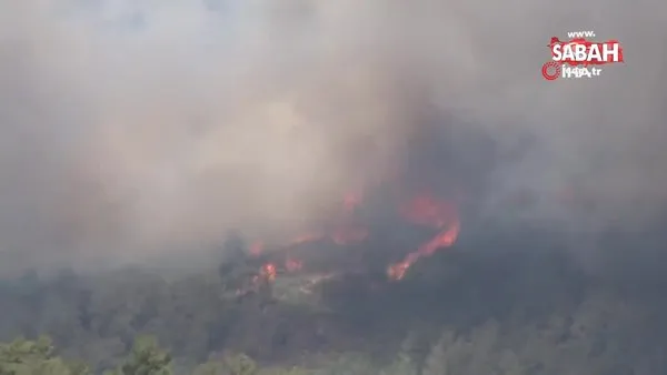 SON DAKİKA! Balıkesir'de orman yangını! İşte ilk görüntüler | Video