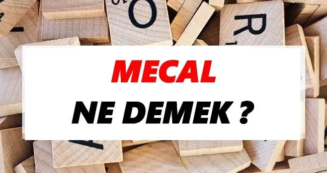 Mecal Ne Demek? TDK’ya Göre Mecal Sözlük Anlamı Nedir?
