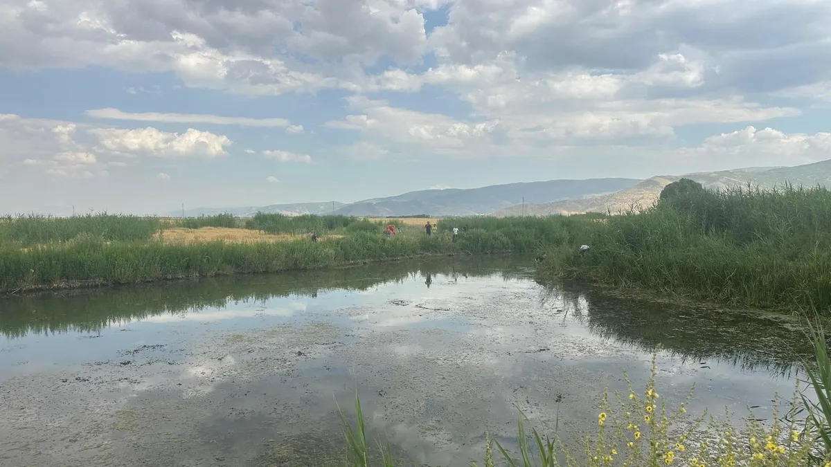 Muş’ta balık avlarken suya düşen 2 kuzen hayatını kaybetti Muş’ta balık avlarken suya düşen 2 kuzen hayatını kaybetti