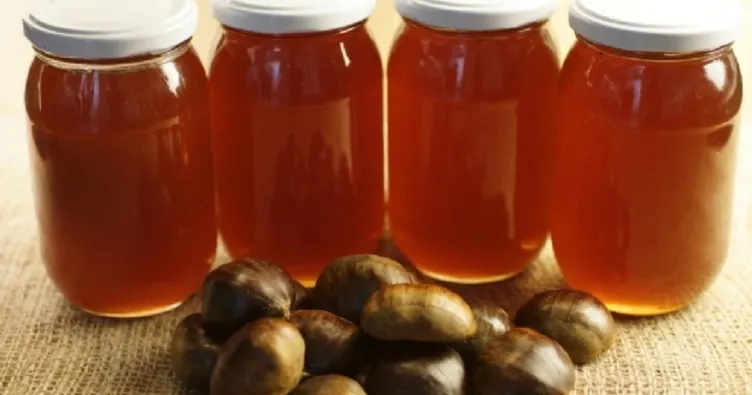 Kestane Balının Faydaları Ve Zararları Nelerdir? Kestane Balı Nasıl Tüketilmeli?