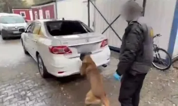 Gizli bölmeden kokain çıktı: Polis köpeğini geçemediler! #diyarbakir
