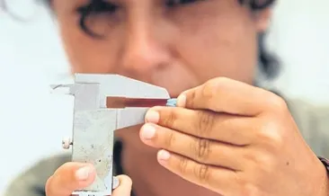 2 bin 600 yıllık mühür bulundu