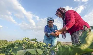 Emine Erdoğan Ayaş’ta çiftçi kadınlarla buluştu: Ata tohumunu yaygınlaştıracağız