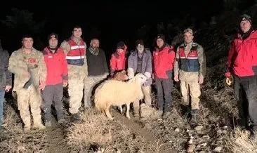 Kaybolan koyunlarını ararken mahsur kalan baba ile oğlu kurtarıldı #erzincan