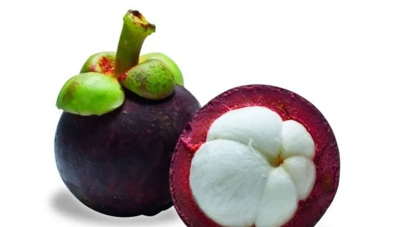 Mangosten (mangosteen)