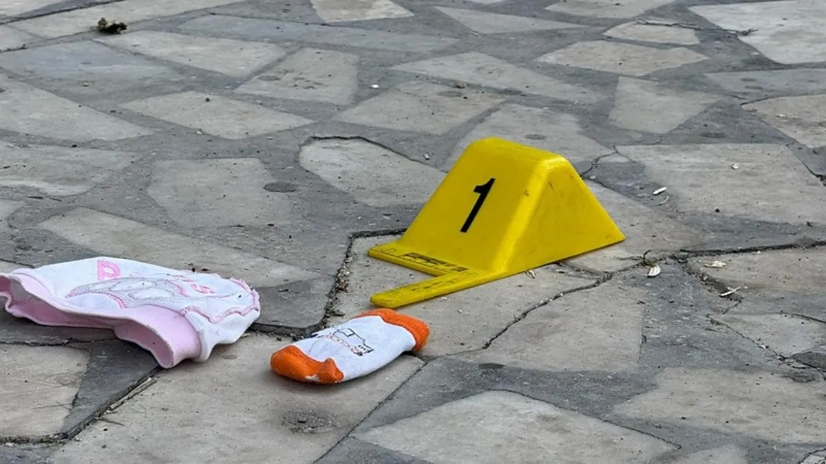 Cani anne, bebeğini pencereden attı