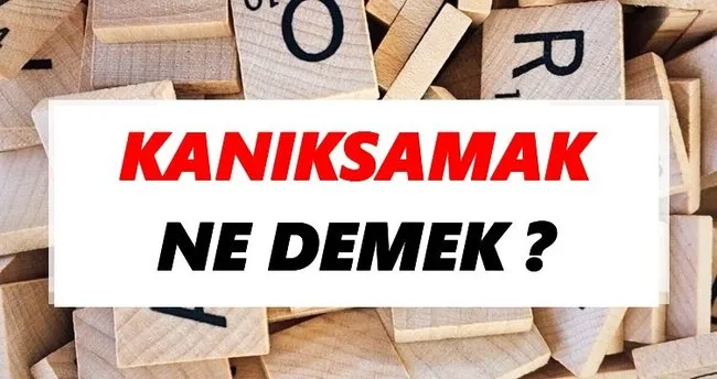 Kanıksamak Ne Demek? TDK’ya Göre Kanıksamak Sözlük Anlamı Nedir?
