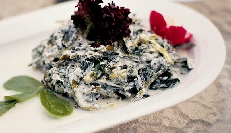 Yoğurtlu Radika