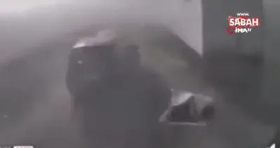 Macaristan’da 40’tan fazla araç birbirine girdi: 13’ü ağır 36 yaralı | Video