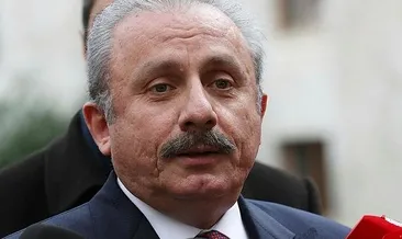 TBMM Başkanı Şentop’tan AP’ye kınama