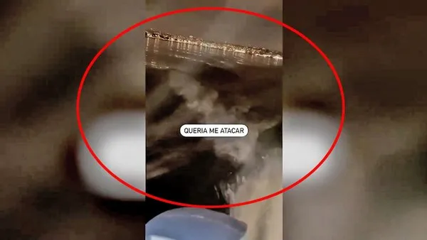 Dünya bu şok görüntüleri konuşuyor! Balıkçıyı kovalayan deniz canavarı kamerada | Video