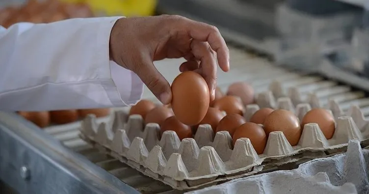 Yumurta üreticilerine 98 milyon TL ceza