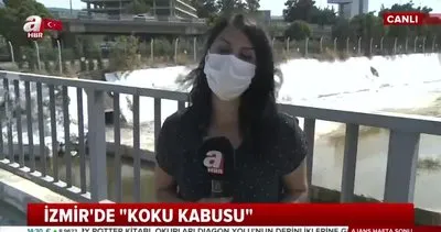 İzmir Meles Deresi’nde kirlilik alarmı! Kötü kokusu kabusu neden çözülemiyor? | Video