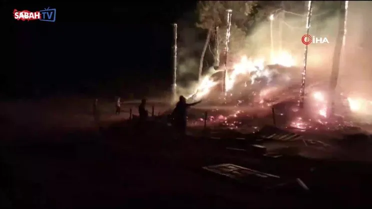 Bilecik’te bir orman yangını daha başladı | Video