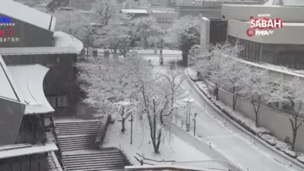 Japonya'da yoğun kar yağışı: 99 uçuş iptal edildi | Video