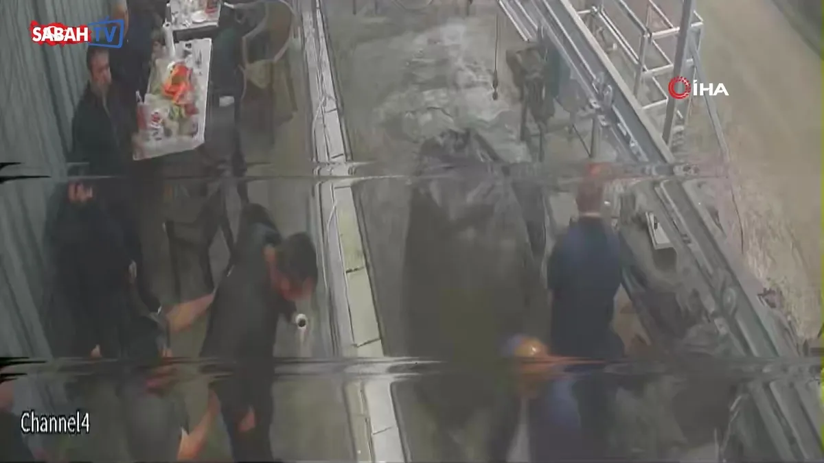 Kurbanlık bakarken ölümden döndü, ‘Heimlich manevrası’ ile hayata tutundu videosunu izle Kurbanlık bakarken ölümden döndü, ‘Heimlich manevrası’ ile hayata tutundu videosunu izle