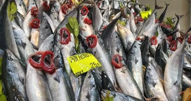 palamut azaldi fiyati 15 liradan 25 liraya cikti son dakika haberler