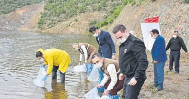 72 bin sazan suyla buluştu