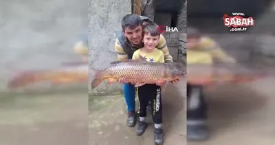 İznik Gölü’nde 25 kiloluk sarı balık yakalandı | Video
