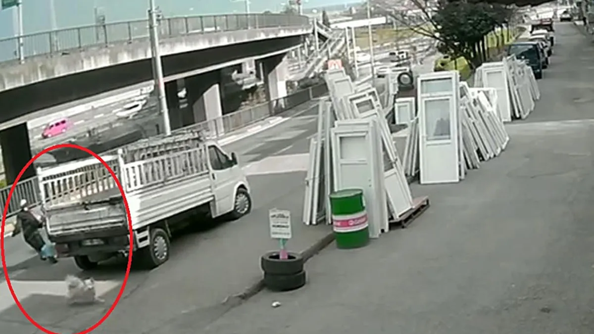 Trabzon’da başıboş köpek dehşeti sonrası kirli algı operasyonu! Büyükşehir: Sorumluluk ilçe belediyelerde Trabzon’da başıboş köpek dehşeti sonrası kirli algı operasyonu! Büyükşehir: Sorumluluk ilçe belediyelerde