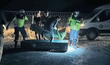 Öfkeli baba dehşet saçtı