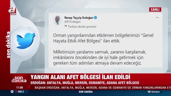 Son dakika: Başkan Erdoğan'dan orman yangınları açıklaması: 
