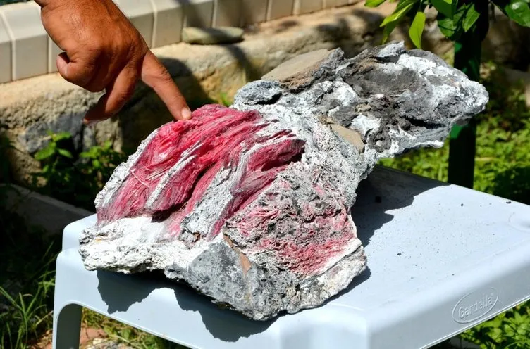 Denizde heykel bulan adam bu kez ’fosil’ buldu