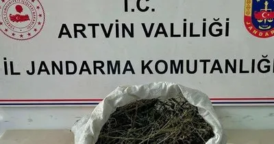 Hopa’da uyuşturucu operasyonu #artvin