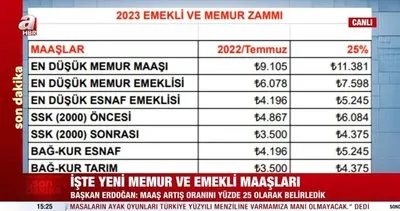 SON DAKİKA: Başkan Erdoğan memur ve emekli ek zam oranını açıkladı! İşte yüzde 25 zamlı yeni maaşlar! | Video